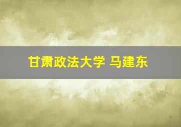 甘肃政法大学 马建东